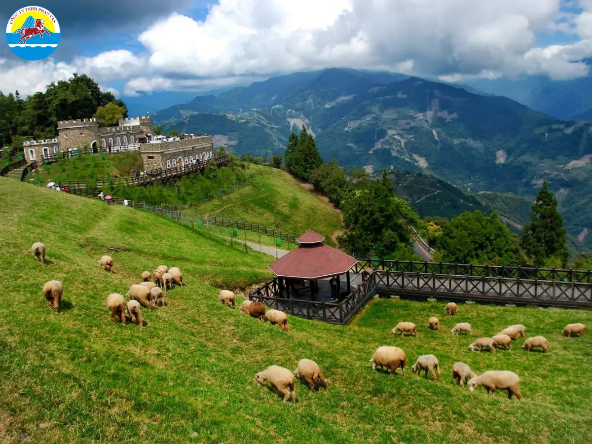 Nông Trại Cừu Cingjing Farm