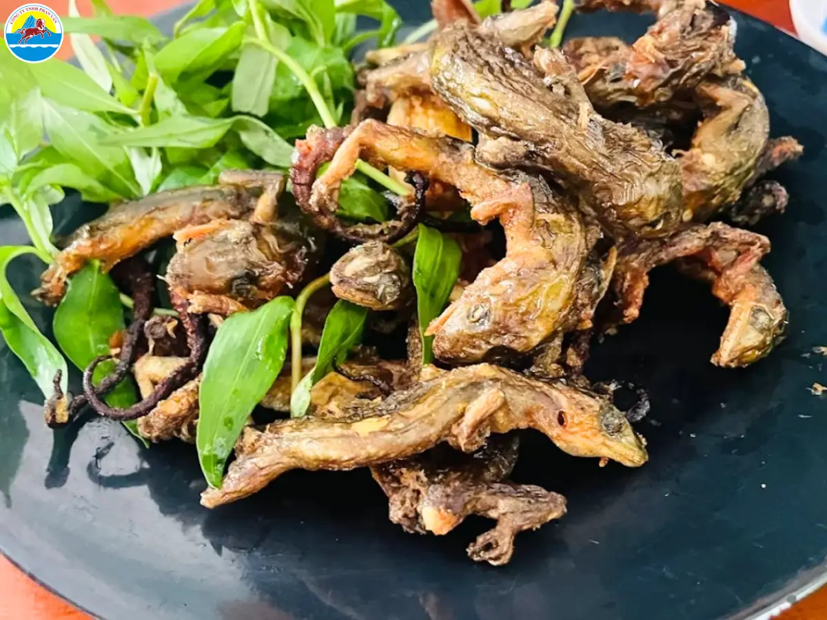 khu du lịch sinh thái ở tây ninh