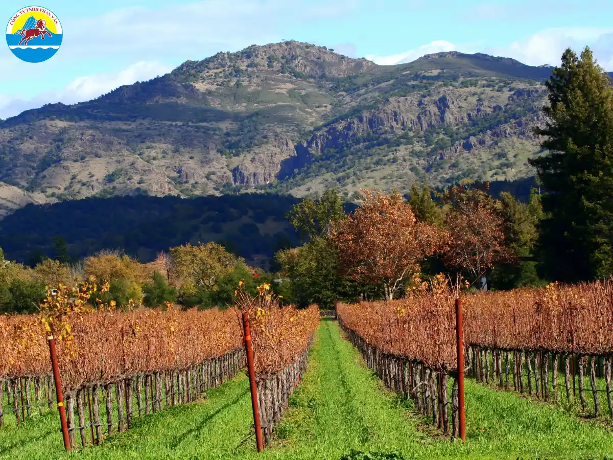 Thung lũng Napa