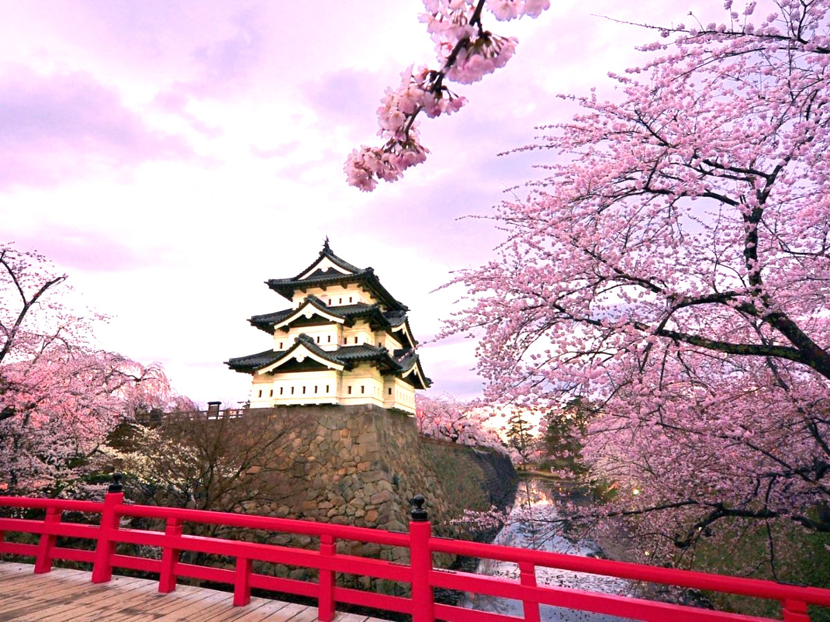 cam-nang-du-lich-osaka-phan-van-travel-1