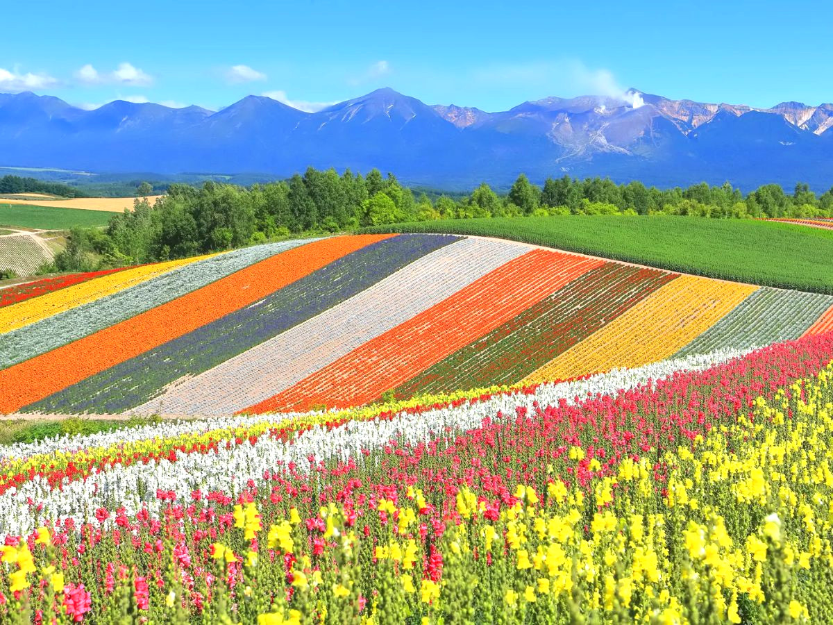 cam-nang-du-lich-osaka-phan-van-travel-2