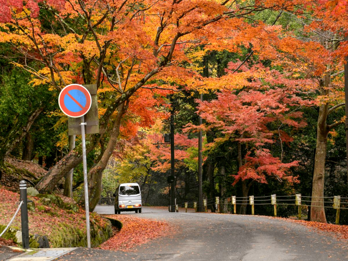 cam-nang-du-lich-osaka-phan-van-travel-3