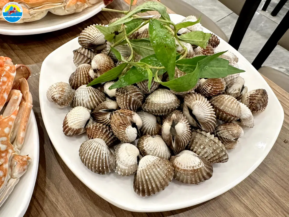 địa điểm du lịch cam ranh​