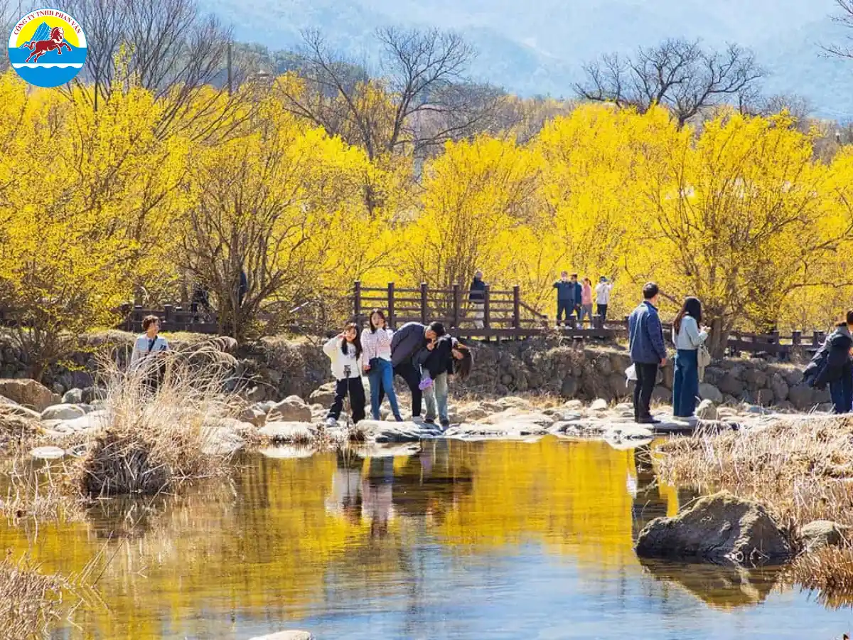 Lễ hội hoa sơn thù du Gurye