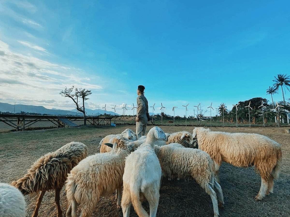 tour Vũng Tàu 2 ngày 1 đêm