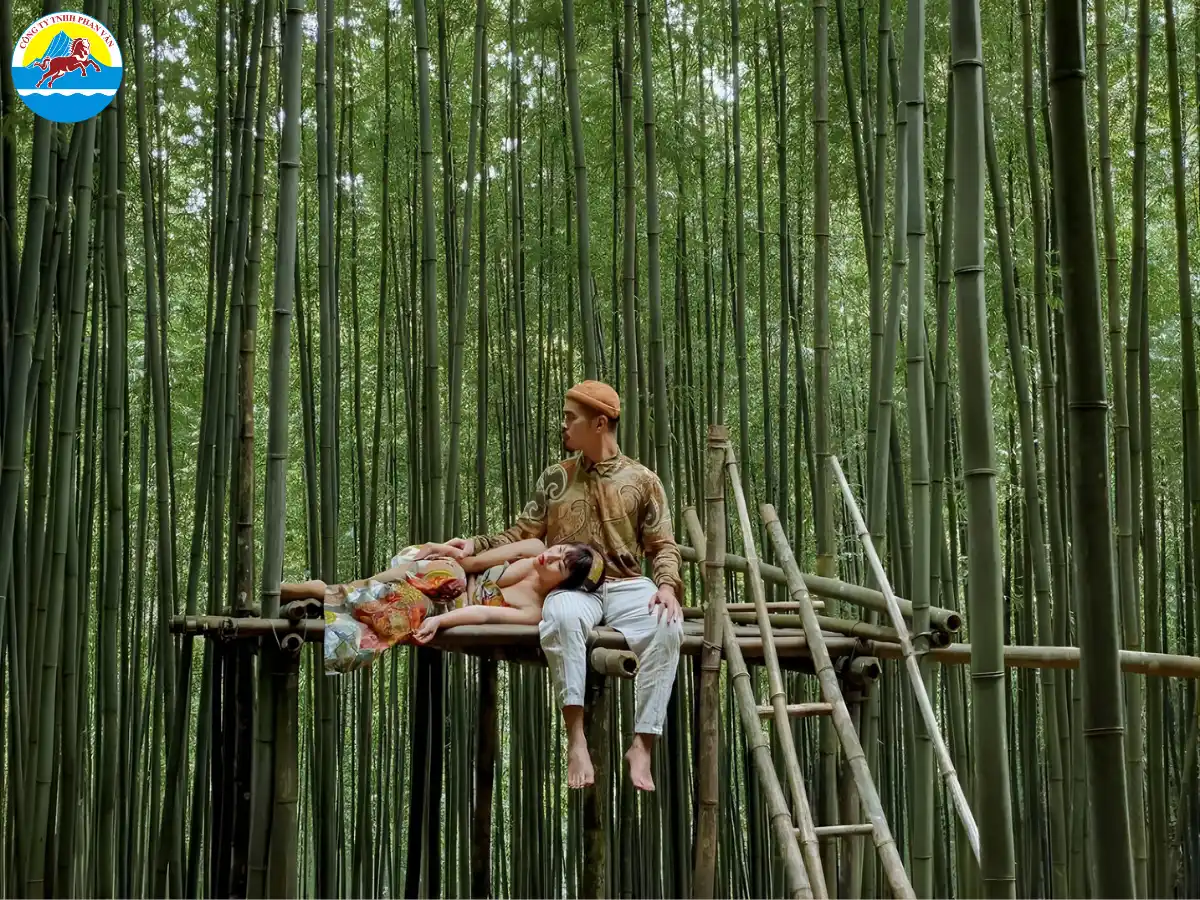 Rừng trúc Lũng Pán