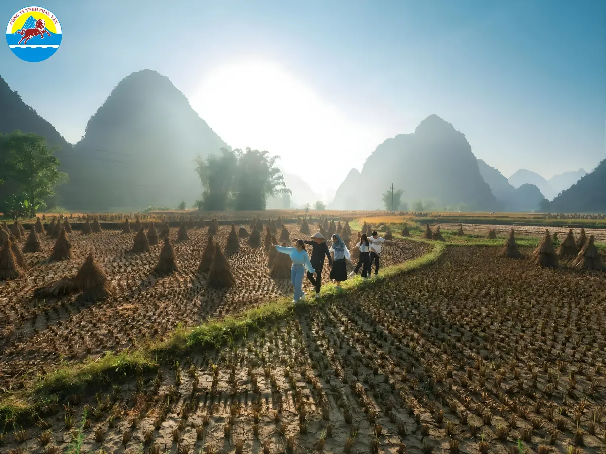 Chiêm ngưỡng mùa đổ ải