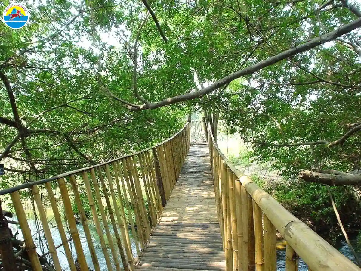 khu du lịch cầu treo buôn đôn​