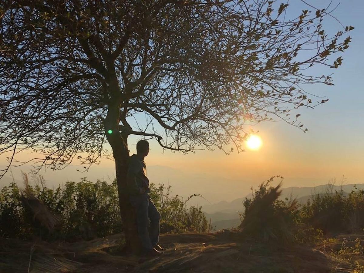 Cây Táo Mèo cô đơn