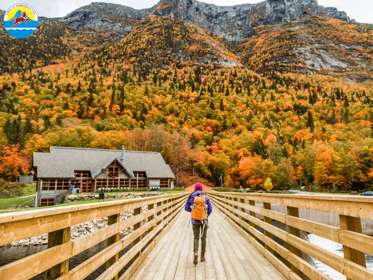 Ngắm lá phong mùa thu