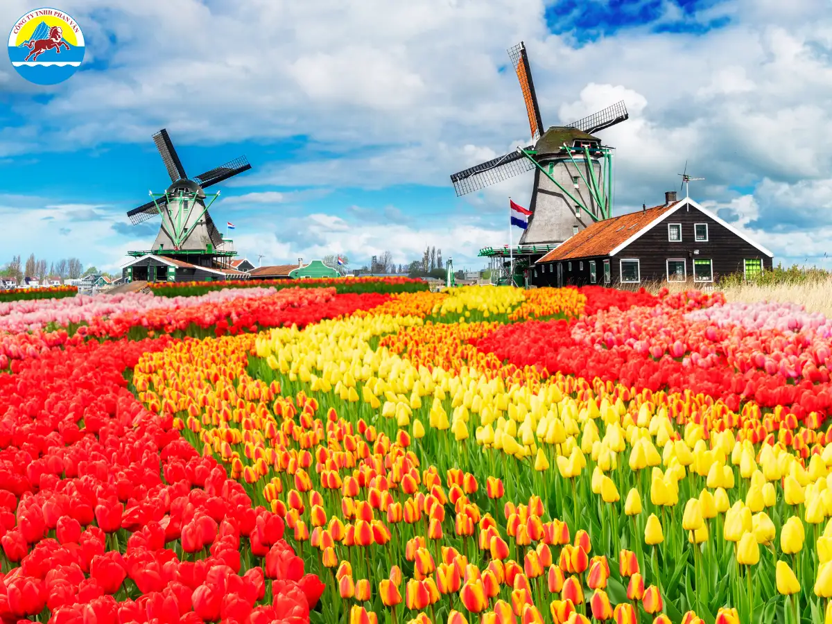 Du khách đi tự túc phải dự trù tối thiểu 38.000.000 VND cho chuyến đi 7 ngày