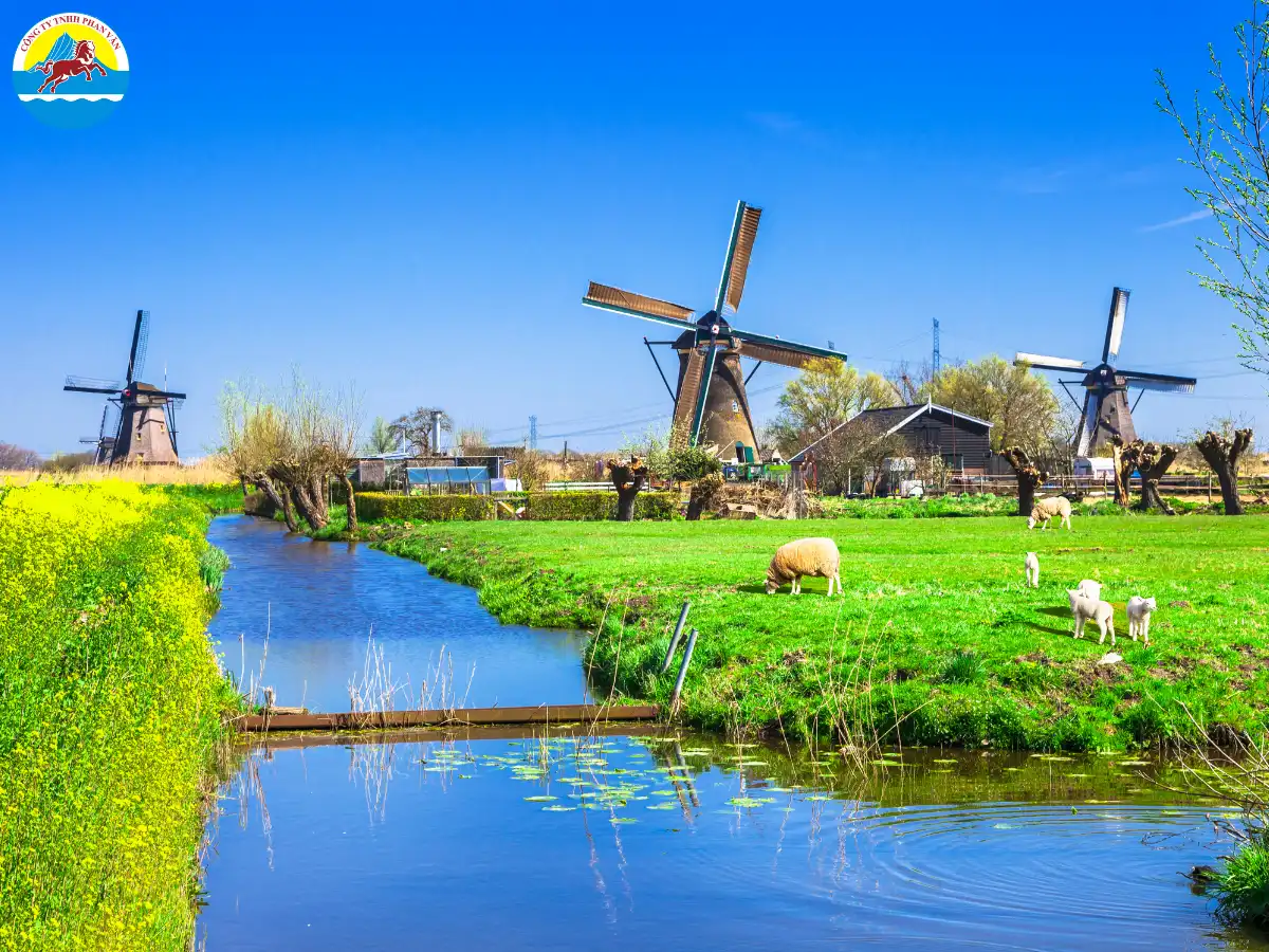 Hầu hết các điểm tham quan lớn đều yêu cầu hoặc khuyến khích đặt vé online