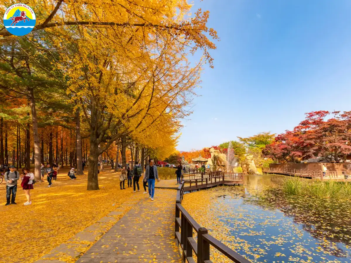 Khách Việt thường chọn ngân sách tầm trung để đi du lịch Hàn Quốc