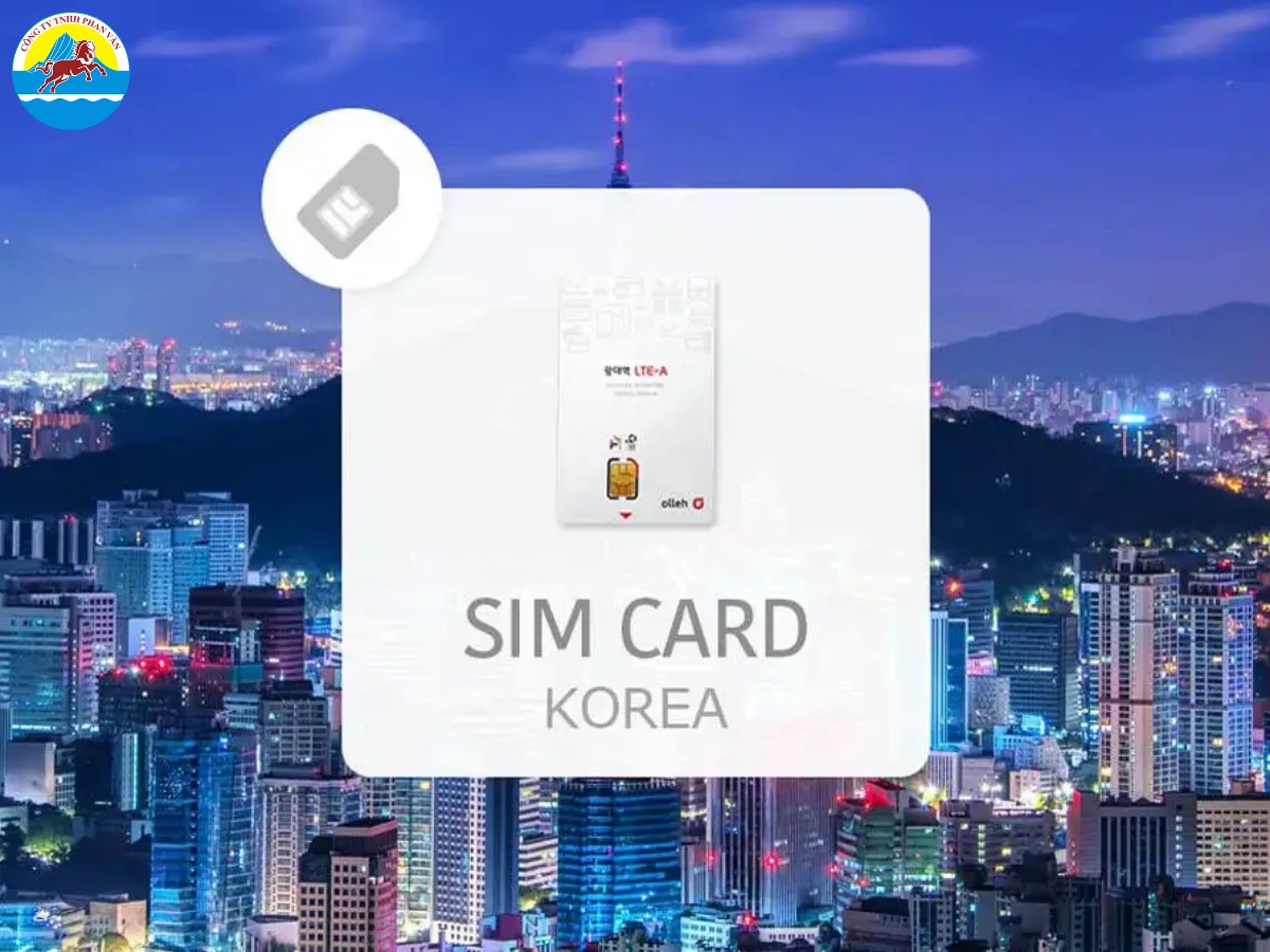 Nên mua sim 4G hoặc thuê wifi