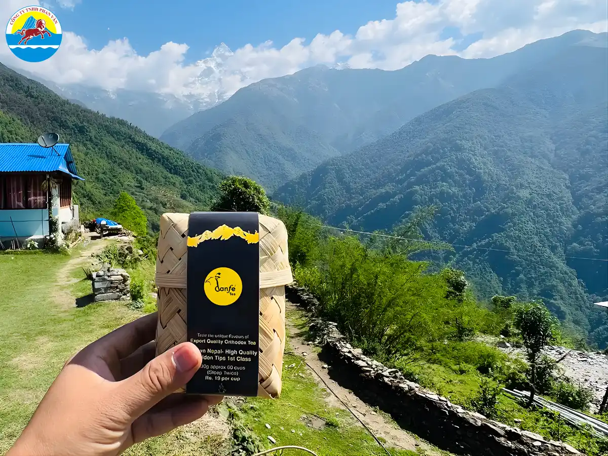 Trà Himalaya