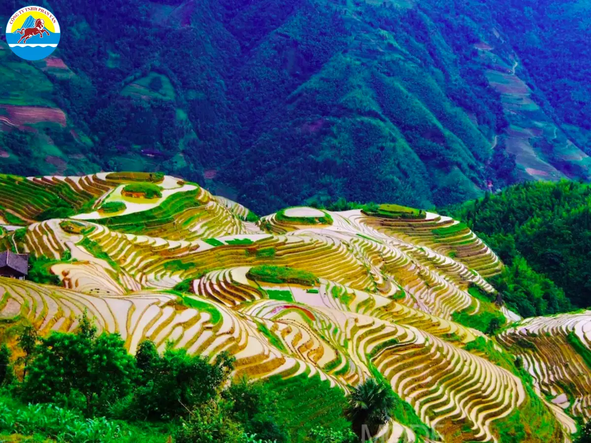 Ruộng bậc thang Yunhe (Lệ Thủy)