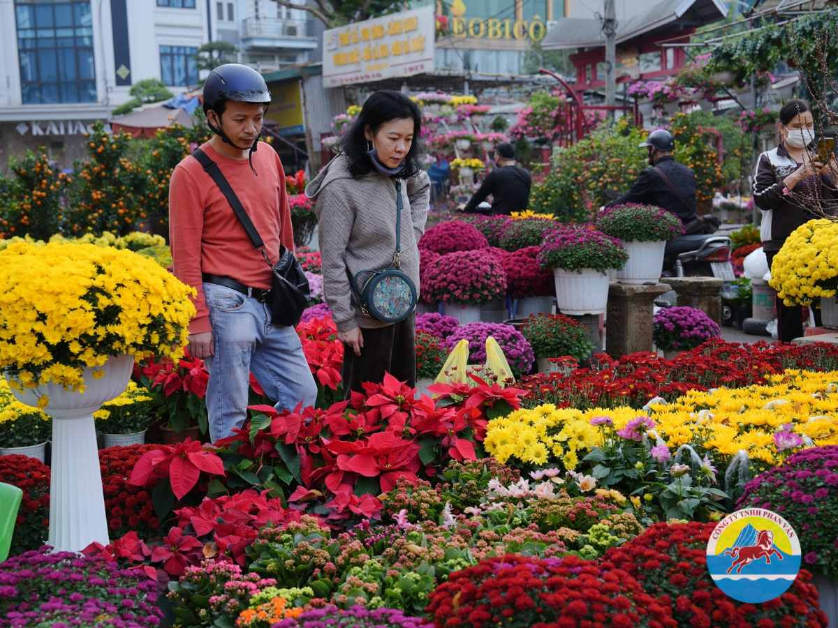 Chợ hoa và chợ Tết Huế