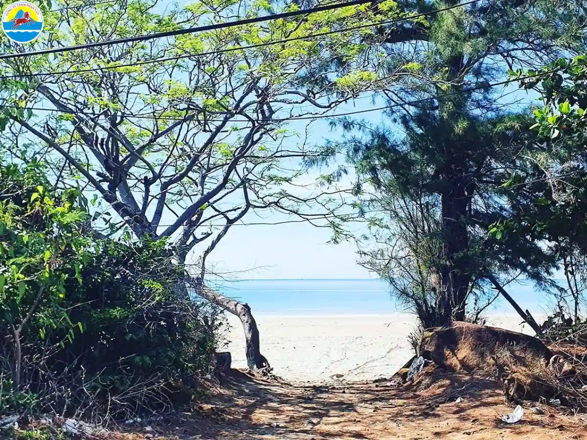 có nên cho trẻ em đi du lịch côn đảo