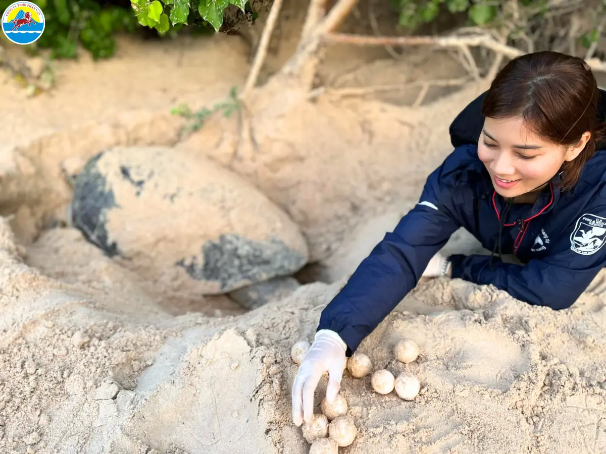 có nên cho trẻ em đi du lịch côn đảo​