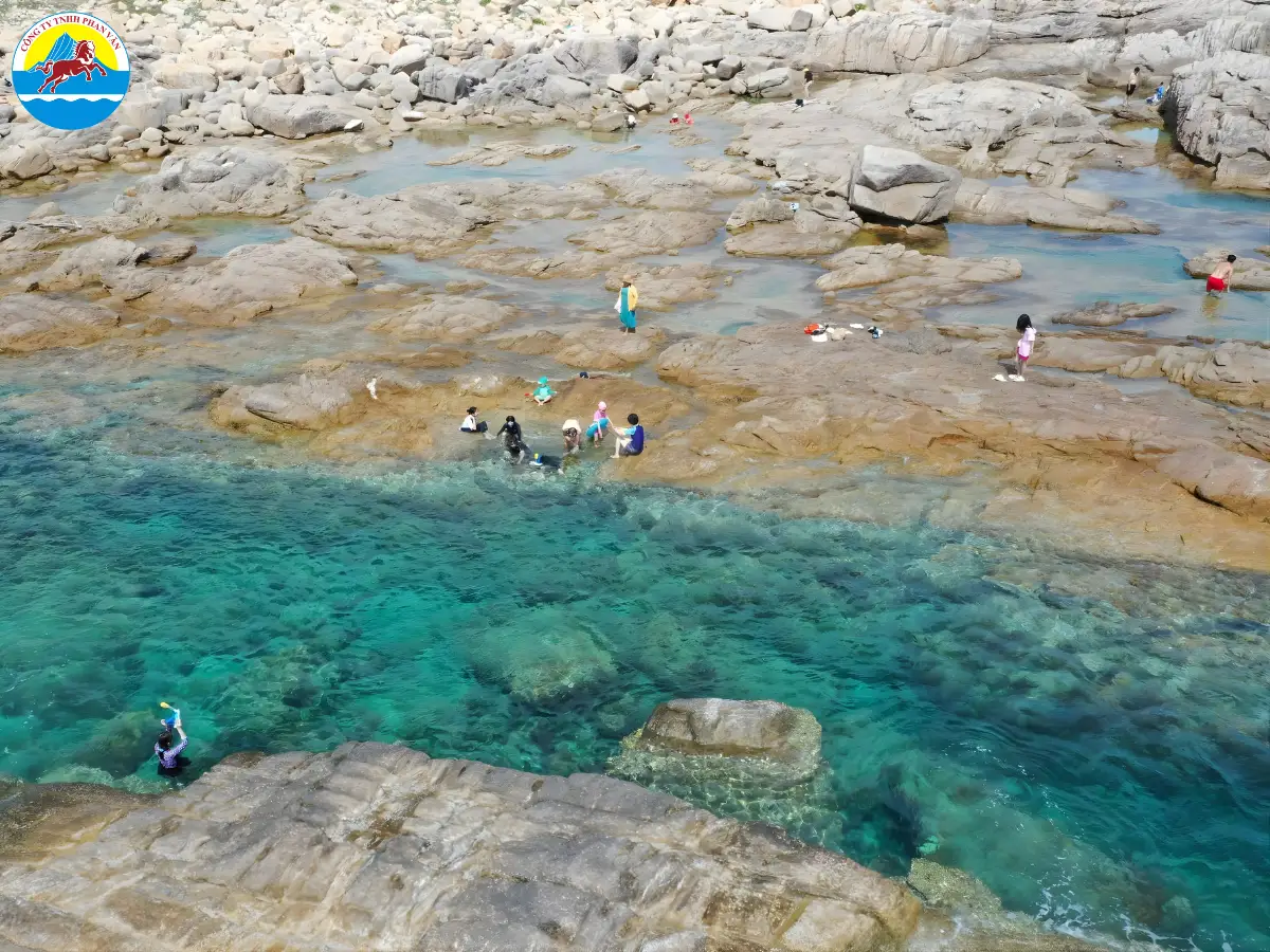 Tour Cù Lao Mái Nhà tại Phan Văn Travel