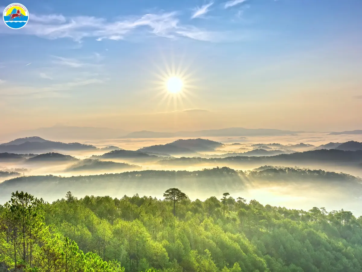 có nên đi đà lạt vào tháng 1