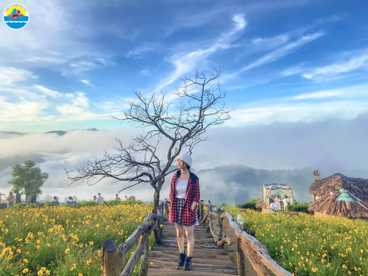 có nên đi đà lạt vào tháng 1