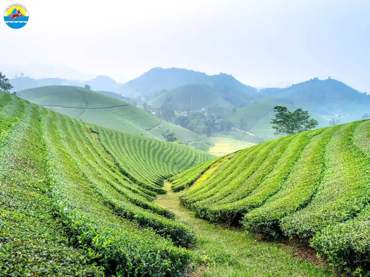 tháng 1 đà lạt có gì