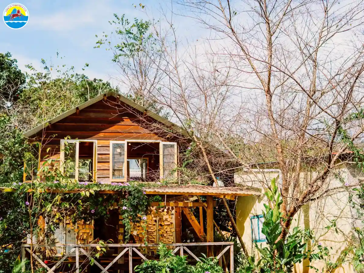 tháng 1 đà lạt có gì