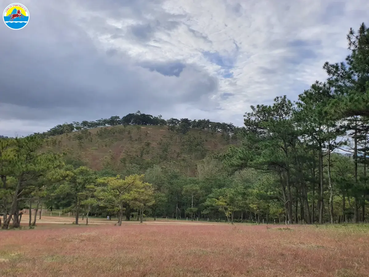 kinh nghiệm du lịch đà lạt tháng 10