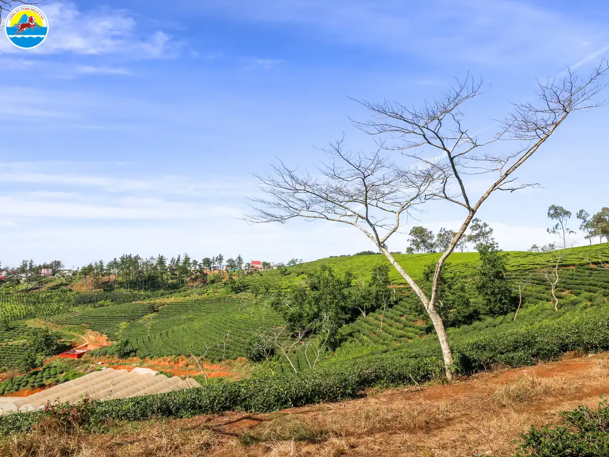 đà lạt tháng 10 có mưa không