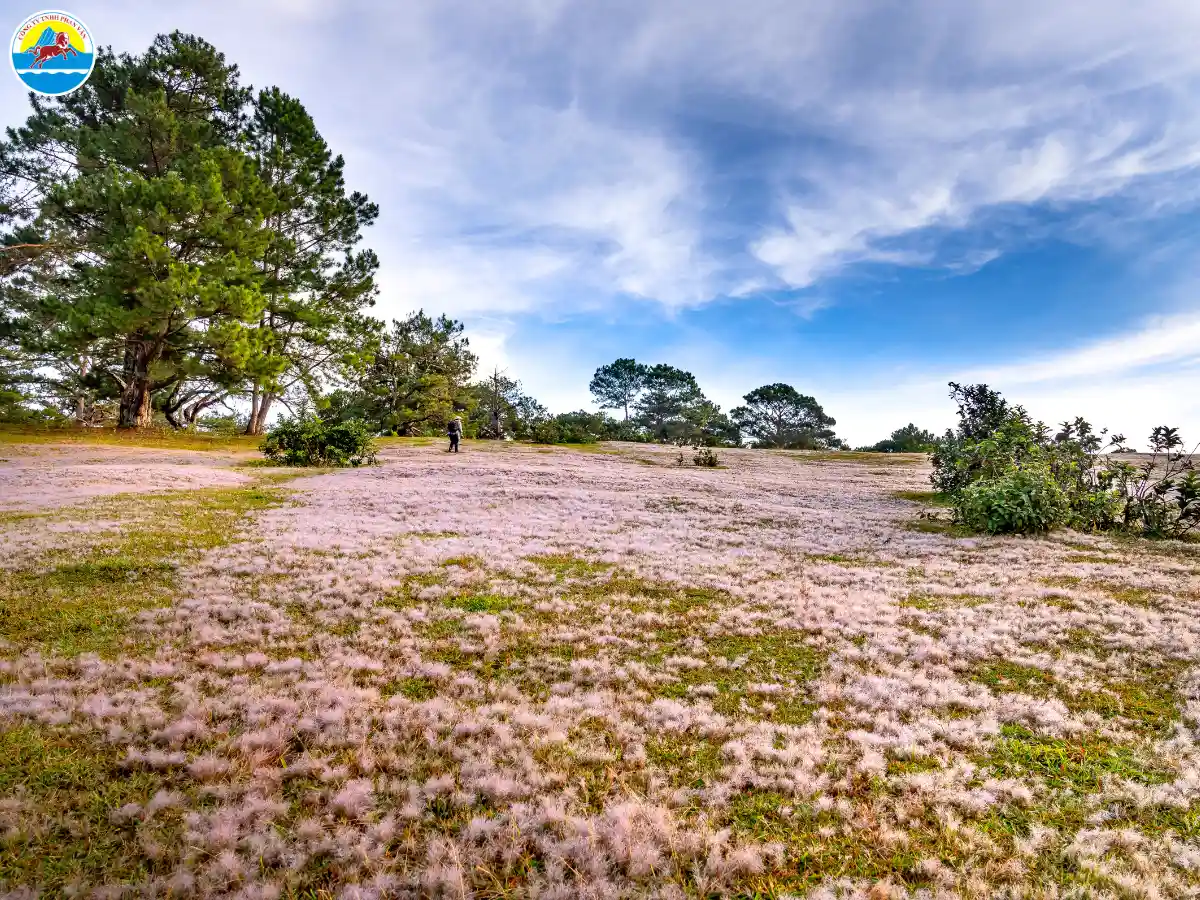 tháng 11 đà lạt có gì
