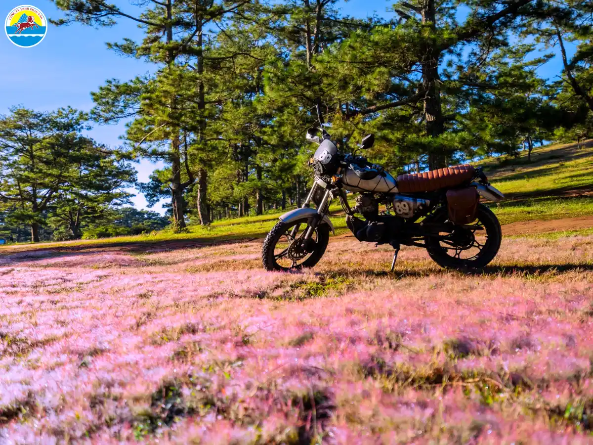 đà lạt tháng 11 có mưa không