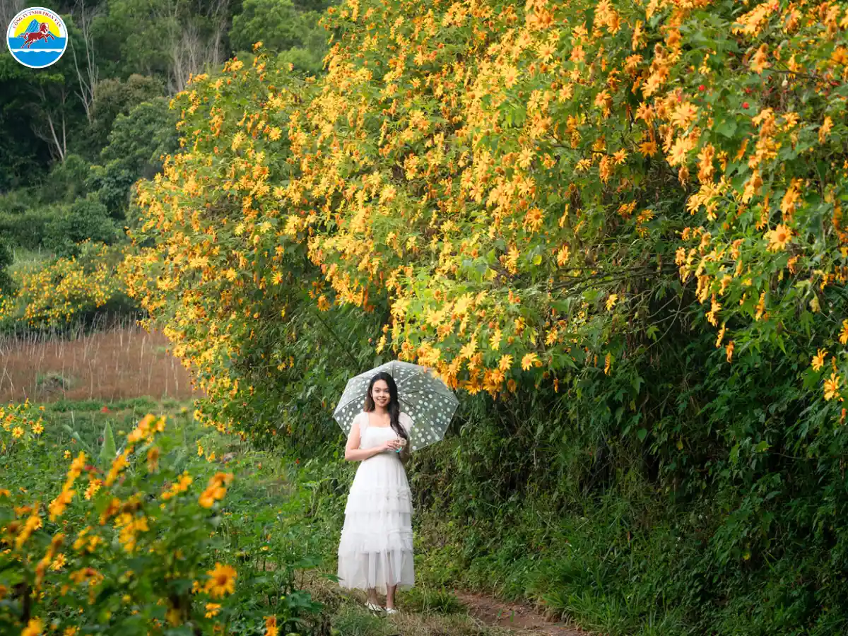 du lịch đà lạt tháng 11 có gì hay