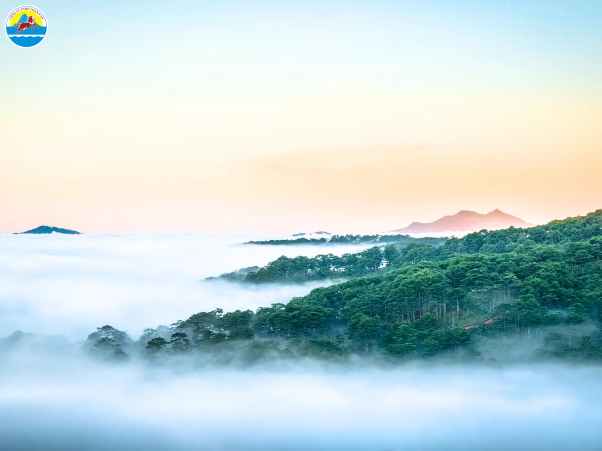 tháng 12 đà lạt có mưa không