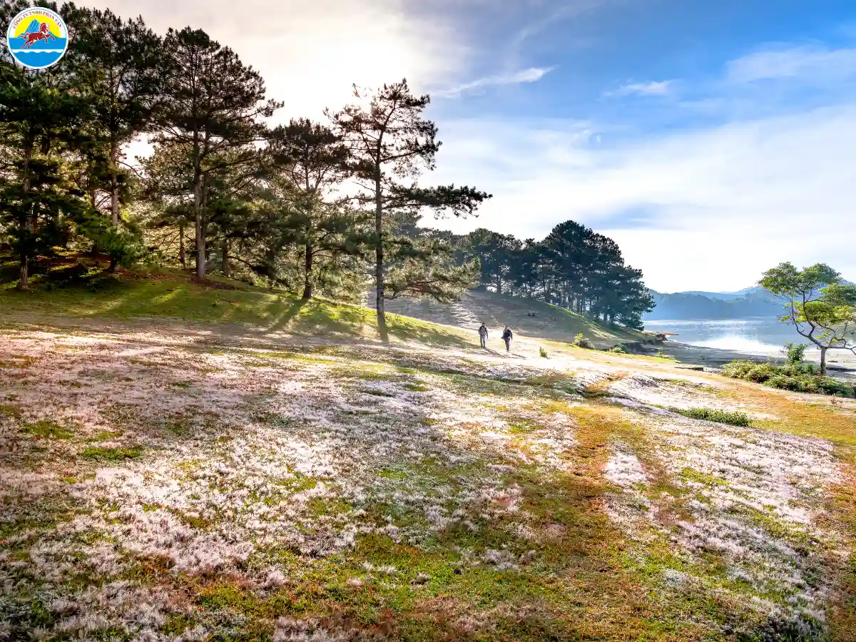 du lịch đà lạt tháng 12