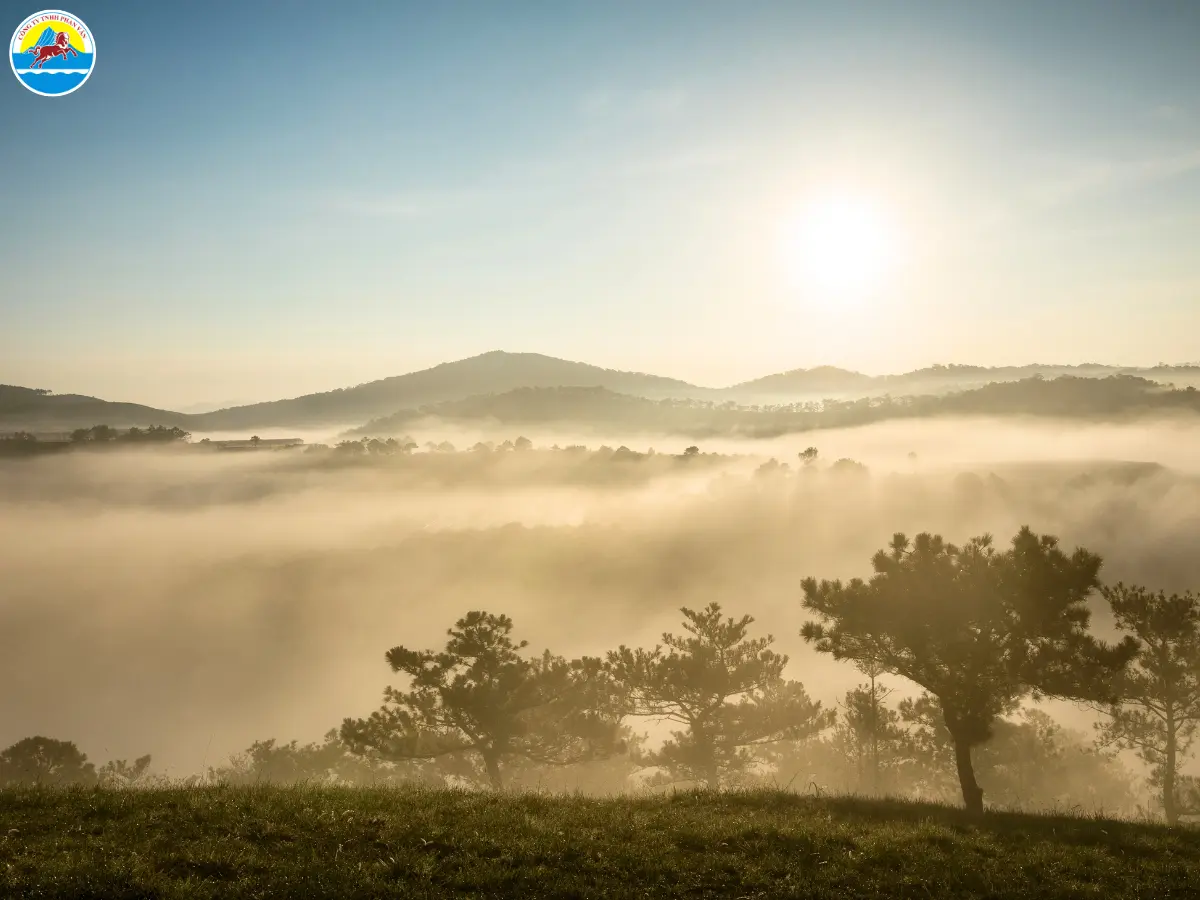 tháng 12 có nên đi đà lạt