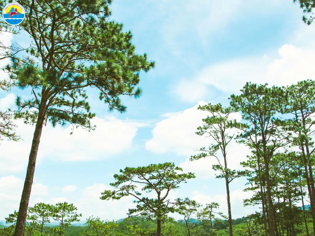 đà lạt tháng 2 có lạnh không