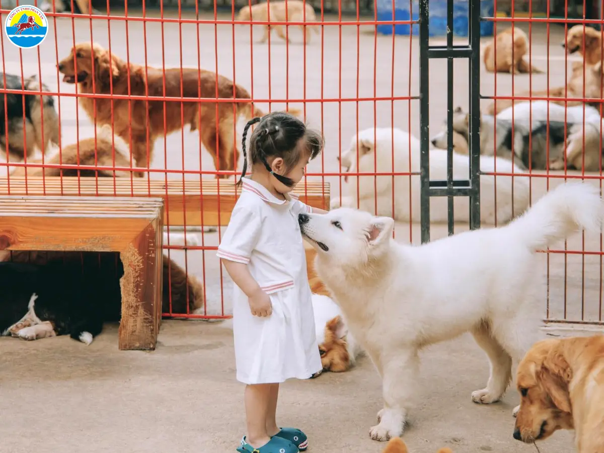 đà lạt tháng 2 có lạnh không