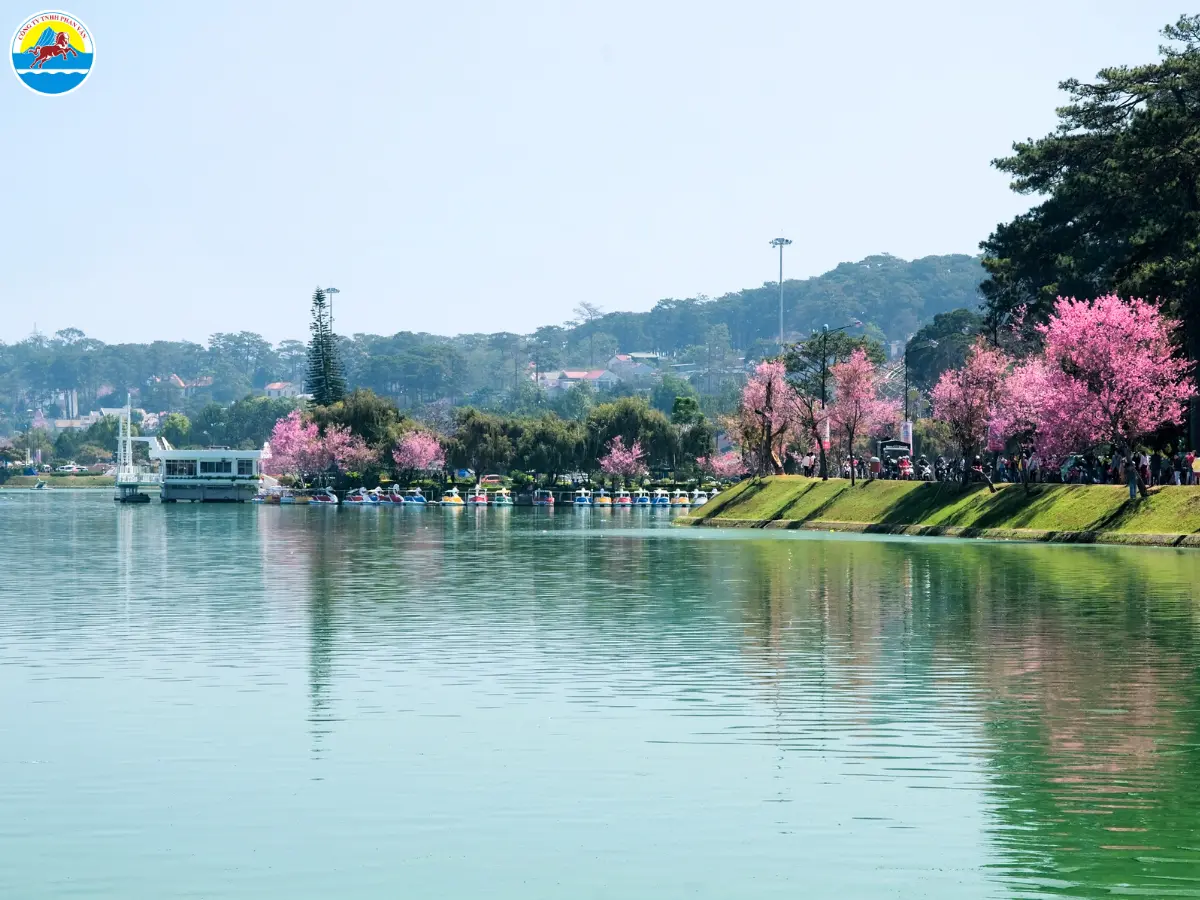 tháng 2 đà lạt có gì