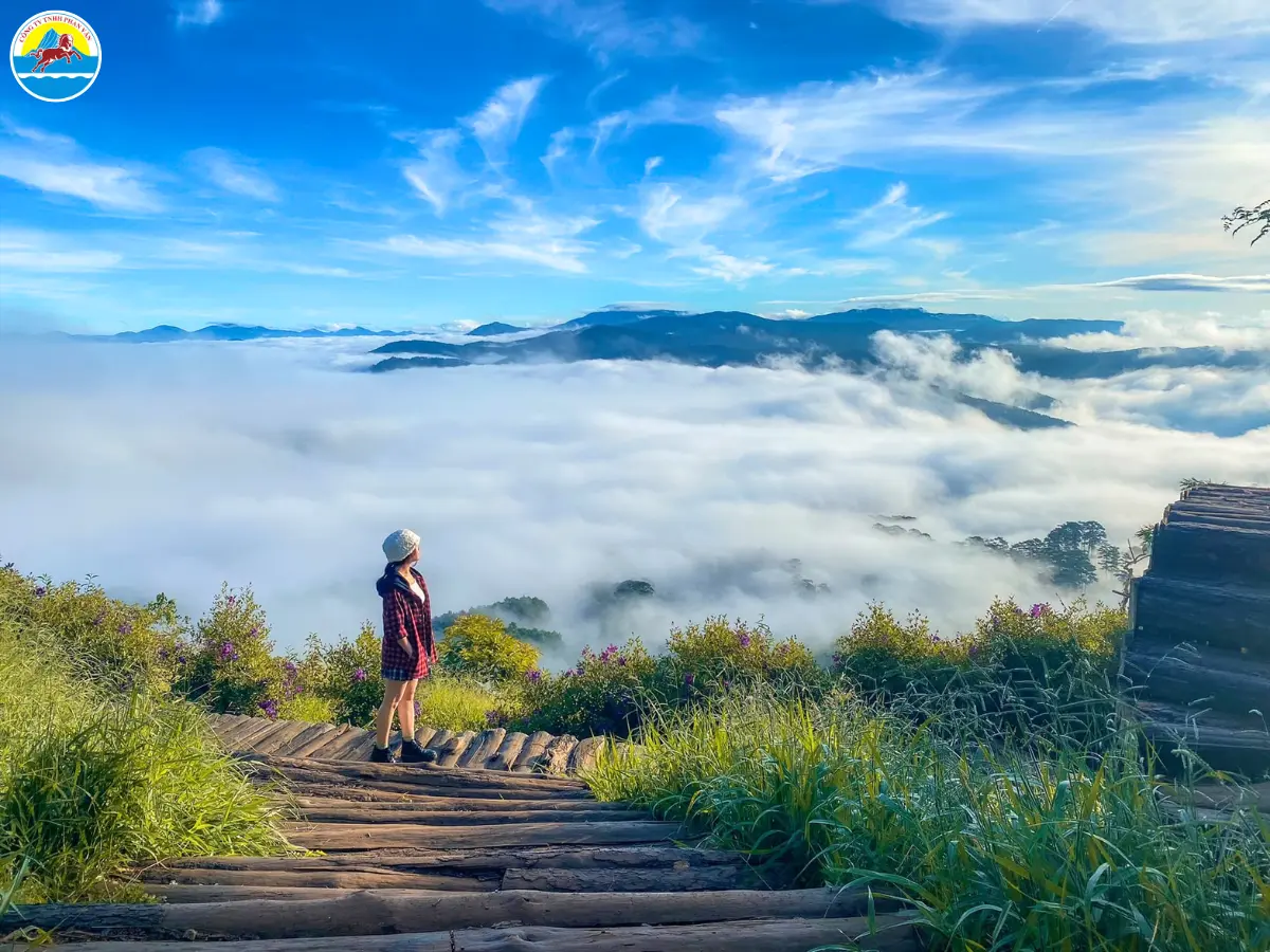 đà lạt tháng 3 có gì đẹp​