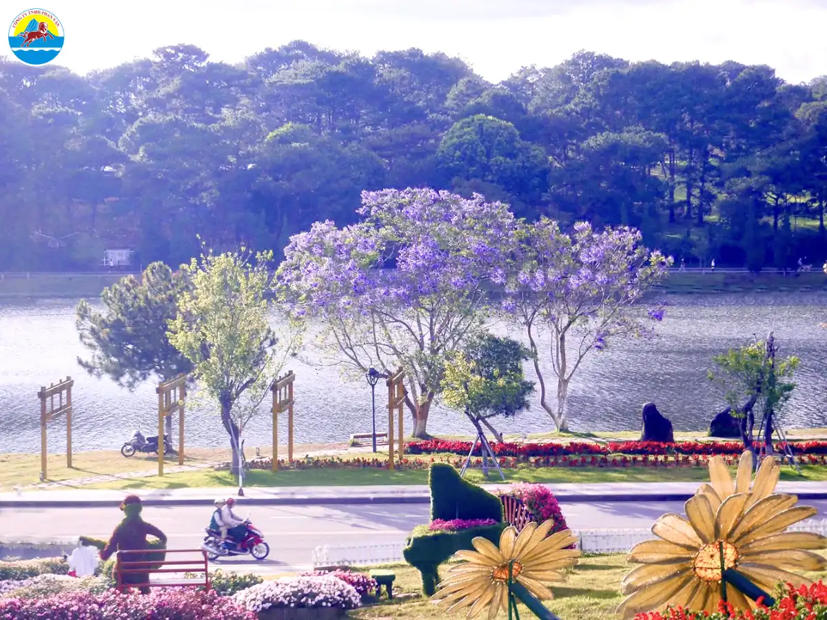 đà lạt tháng 3 có gì đẹp