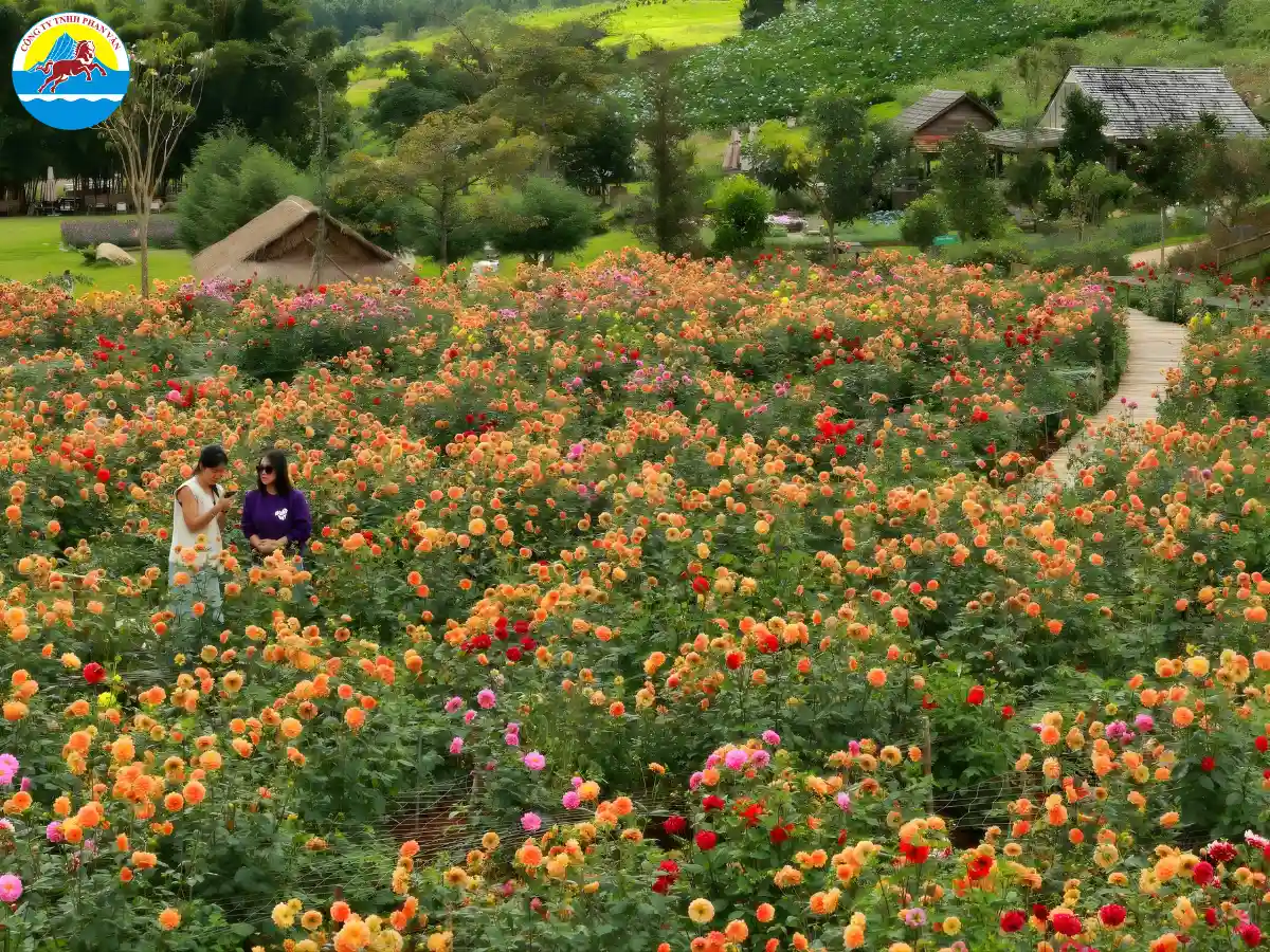 Vườn hoa thành phố Đà Lạt