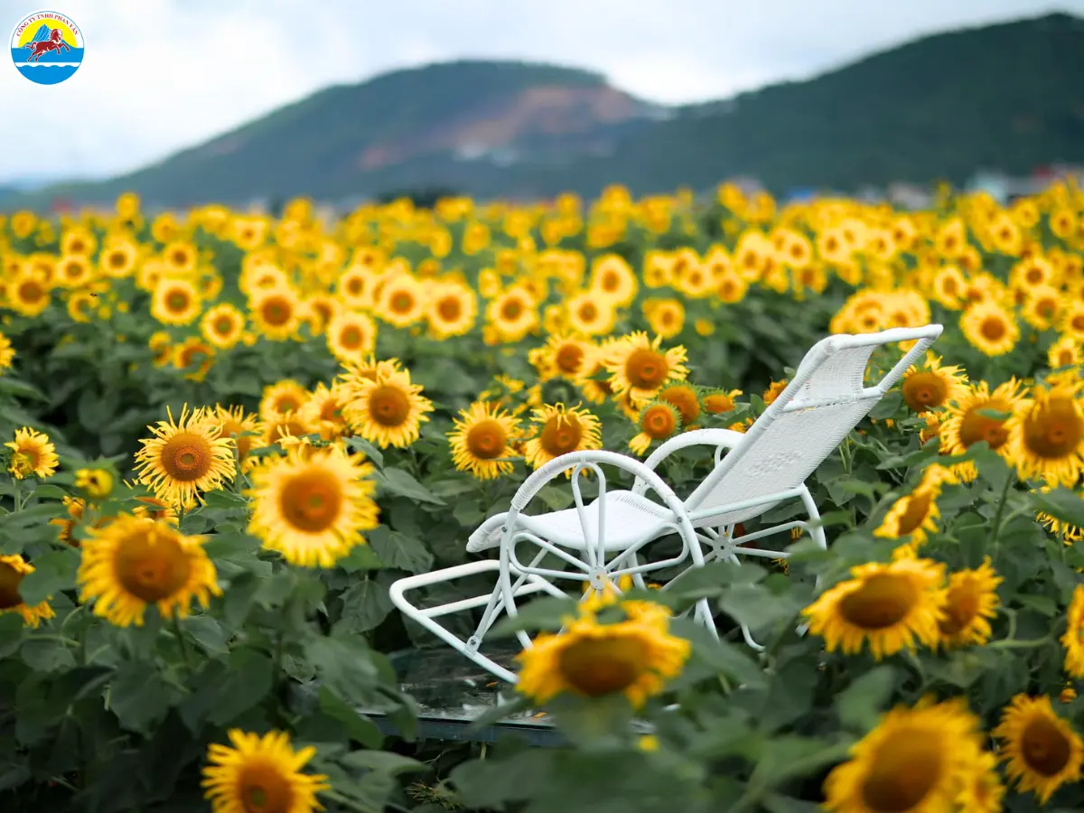 kinh nghiệm du lịch đà lạt tháng 8