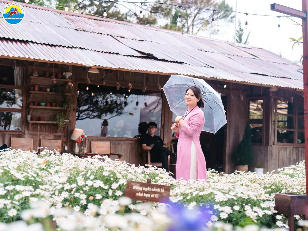 có nên đi đà lạt vào tháng 8 không​