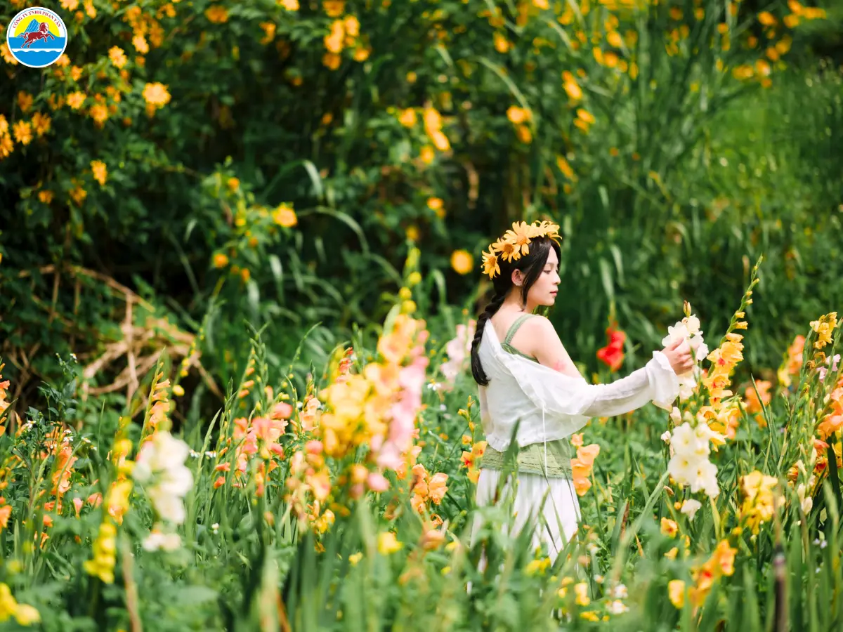 tháng 9 đà lạt có mưa không