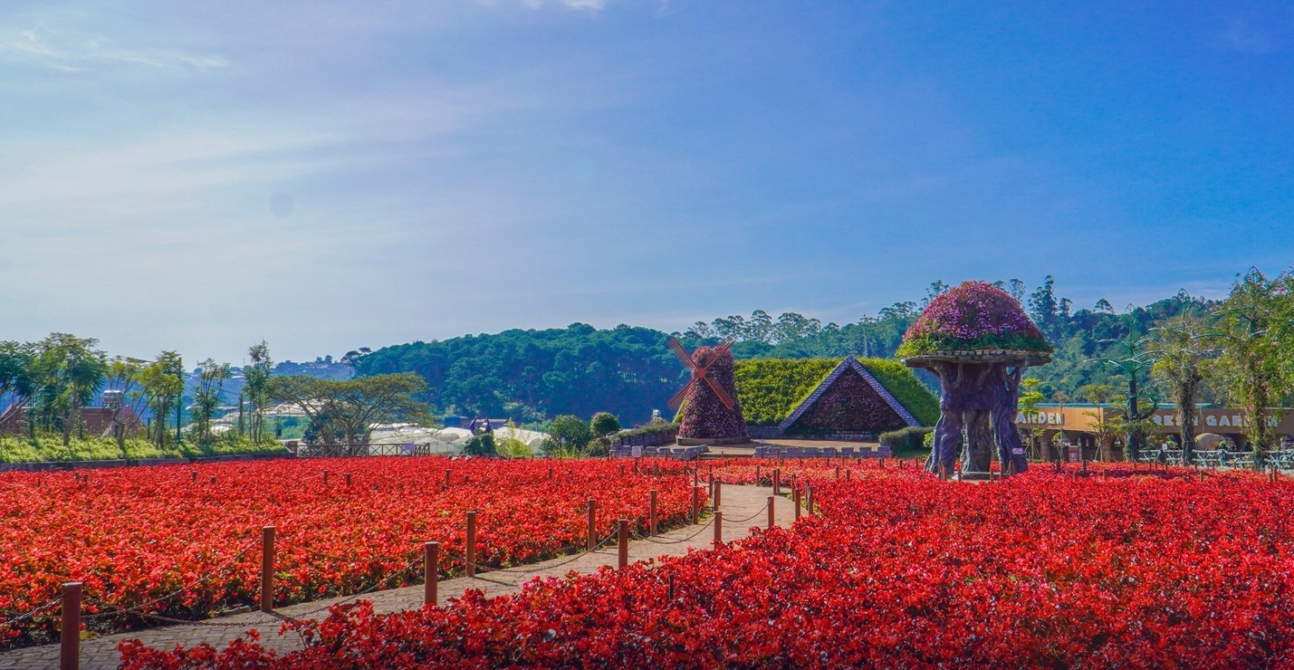Không gian thơ mộng ở ĐÀ LẠT