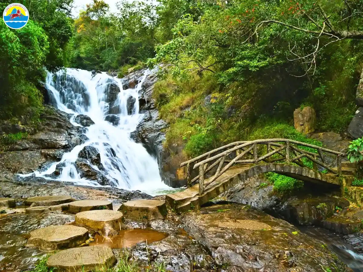 đi đâu ở đà lạt về đêm​