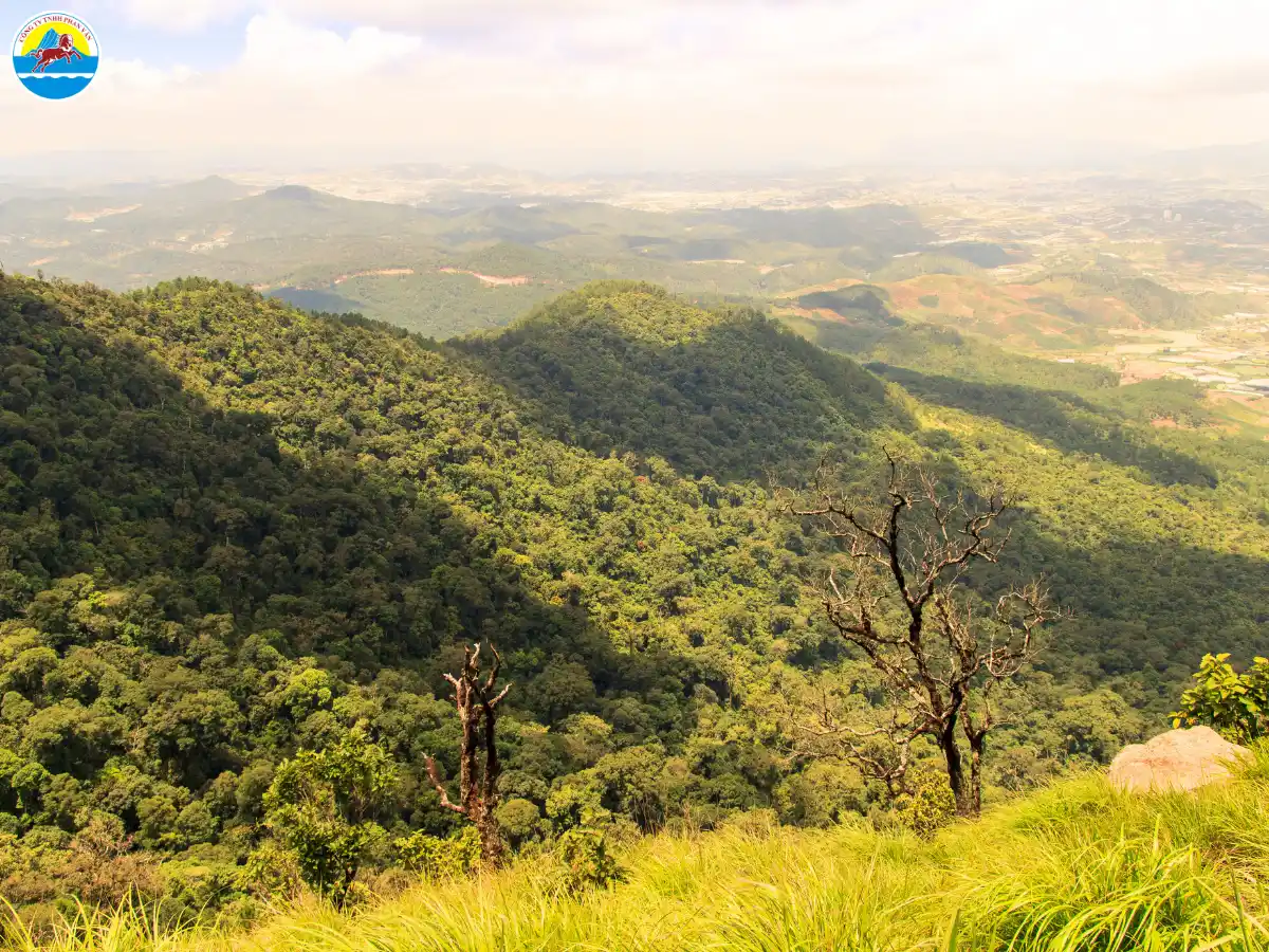 du lịch đà lạt về đêm