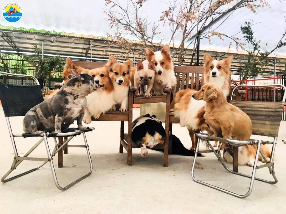 du lịch đà lạt về đêm