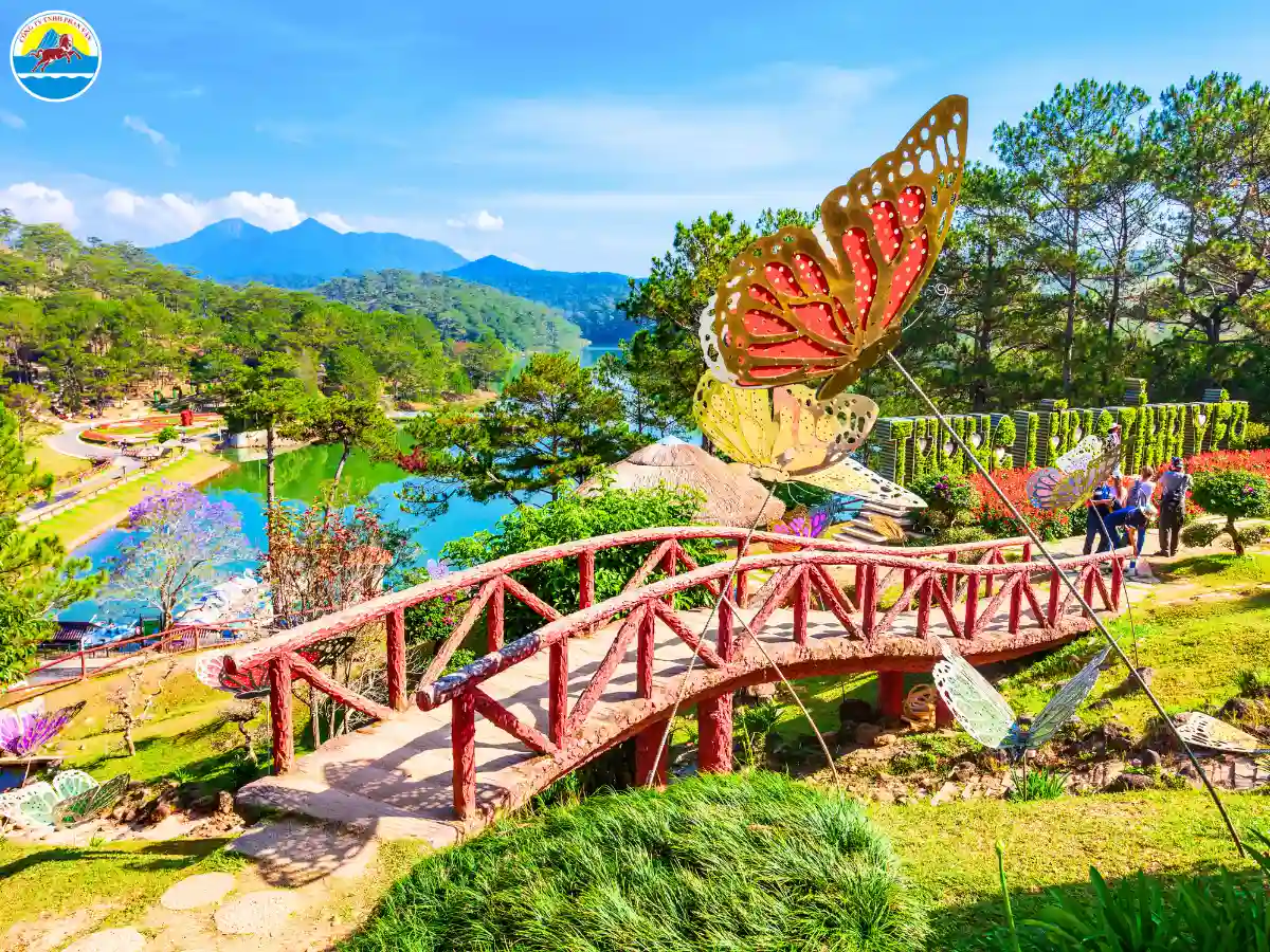 thành phố đà lạt về đêm​